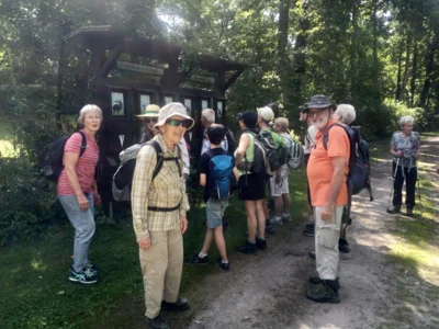 Foto des Albums: Fahle Heide in lila Farbe