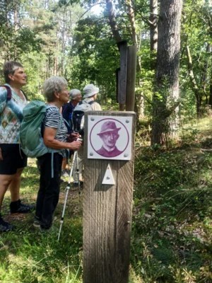 Foto des Albums: Fahle Heide in lila Farbe