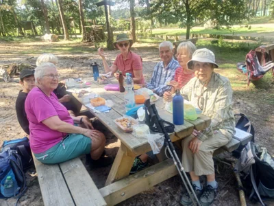 Foto des Albums: Fahle Heide in lila Farbe