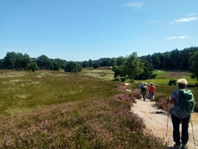 Die Fahle Heide  (Bild vergr&ouml;&szlig;ern)