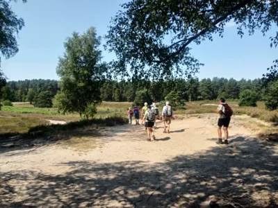 Foto des Albums: Fahle Heide in lila Farbe