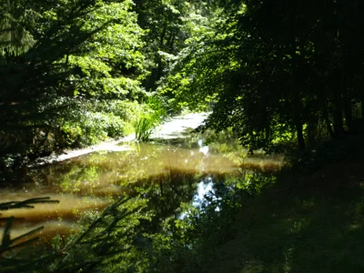 Foto des Albums: Fahle Heide in lila Farbe