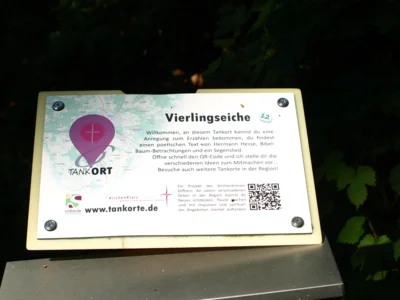 Foto des Albums: Fahle Heide in lila Farbe