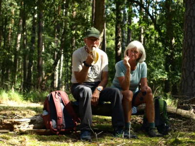 Foto des Albums: Fahle Heide in lila Farbe