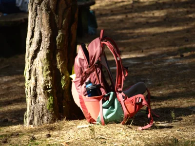 Pause  (Bild vergr&ouml;&szlig;ern)