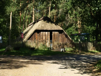 Foto des Albums: Fahle Heide in lila Farbe