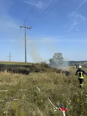 Foto des Albums: B 1 - Brand Freifläche klein (