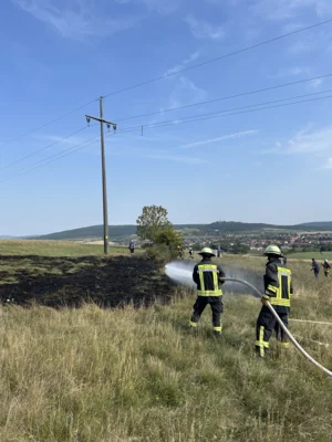 Foto des Albums: B 1 - Brand Freifläche klein (
