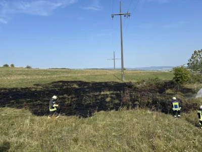 Foto des Albums: B 1 - Brand Freifläche klein (