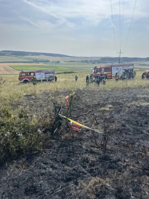Foto des Albums: B 1 - Brand Freifläche klein (