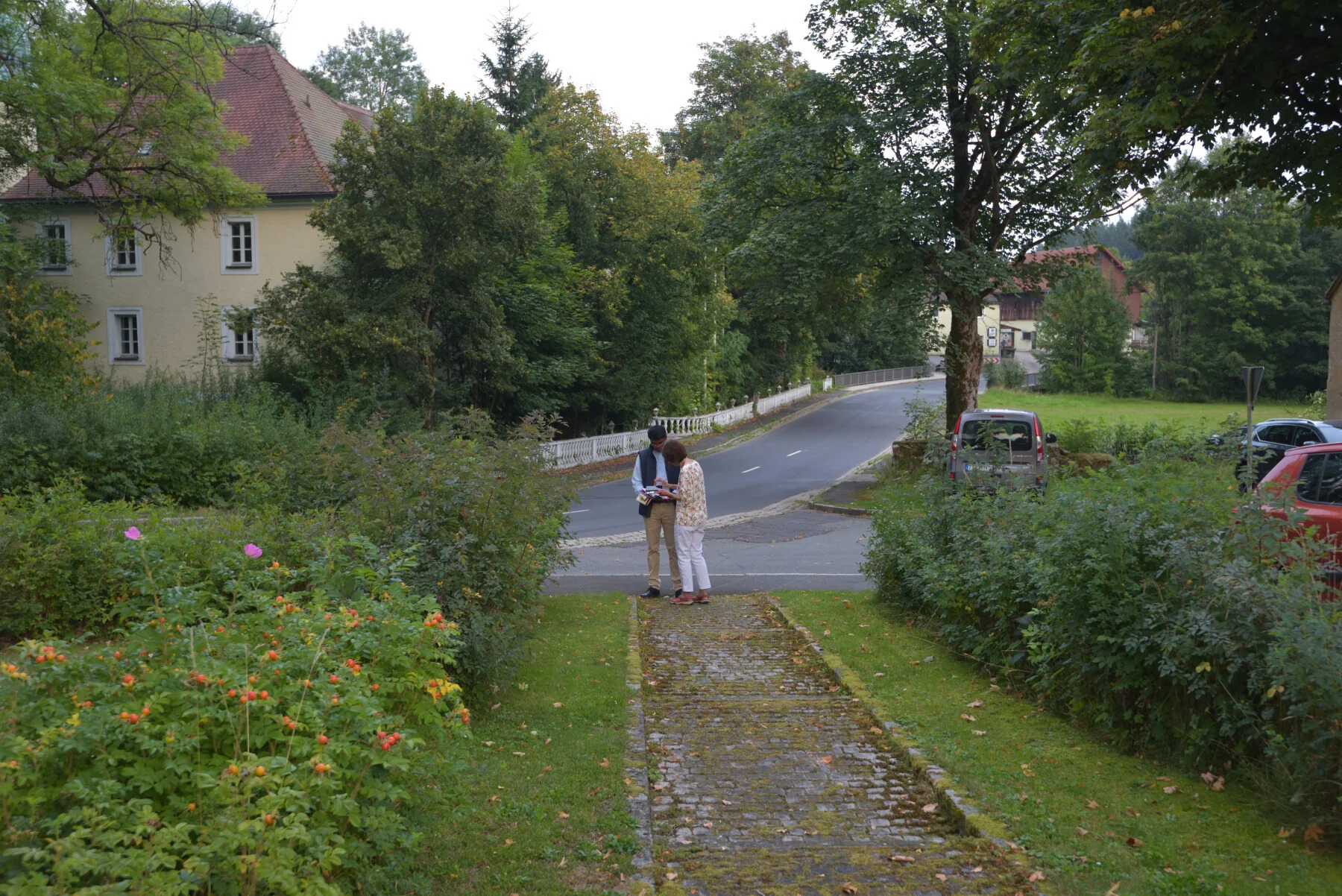 Bild der Galerie