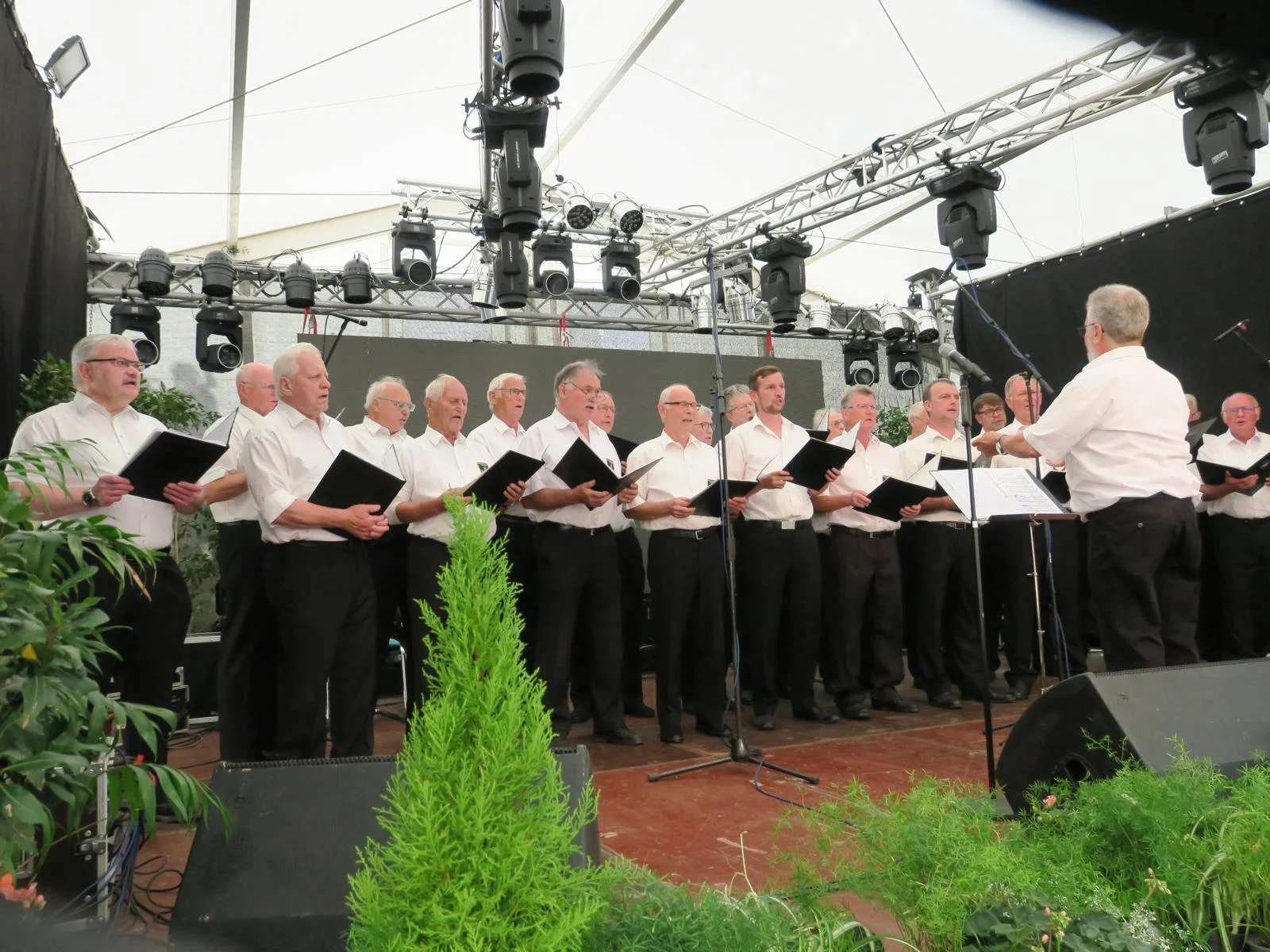 Bild: Impressionen vom Calauer Stadtfest. Foto: Jan Hornhauer