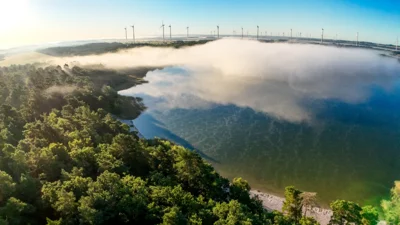 Foto des Albums: Naturschauspiel am Treptowsee