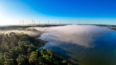 Foto des Albums: Naturschauspiel am Treptowsee