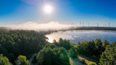 Foto des Albums: Naturschauspiel am Treptowsee