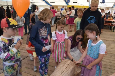Foto des Albums: Stimmungsvolle Volksfesttage in Bildern