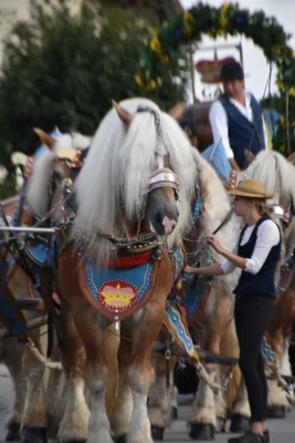 Foto des Albums: Stimmungsvolle Volksfesttage in Bildern