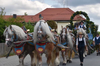 Foto des Albums: Stimmungsvolle Volksfesttage in Bildern