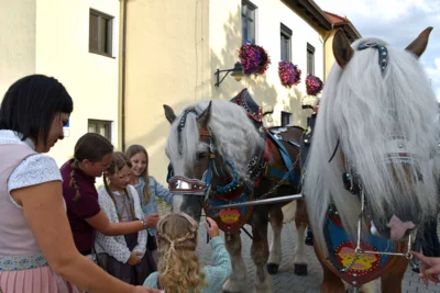 Foto des Albums: Stimmungsvolle Volksfesttage in Bildern