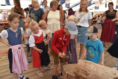 Foto des Albums: Stimmungsvolle Volksfesttage in Bildern