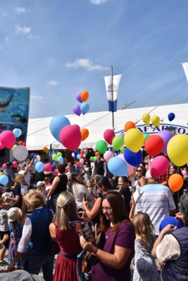 Foto des Albums: Stimmungsvolle Volksfesttage in Bildern