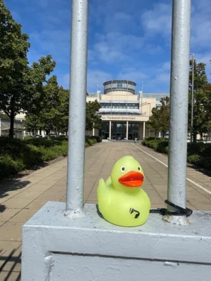 Foto: Simone Schmidt  (Bild vergr&ouml;&szlig;ern)