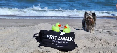 Foto: Marcel Kuhse  (Bild vergr&ouml;&szlig;ern)