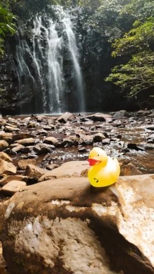 Foto: Jessica Kohs  (Bild vergr&ouml;&szlig;ern)