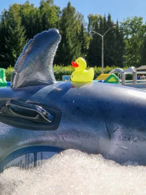 Foto: Beate Vogel  (Bild vergr&ouml;&szlig;ern)