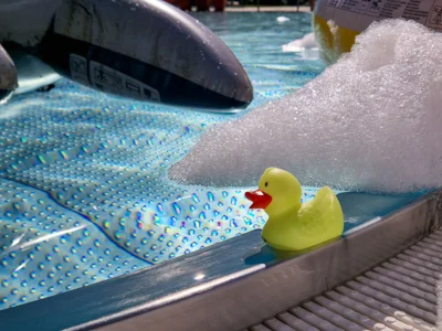 Foto: Beate Vogel  (Bild vergr&ouml;&szlig;ern)