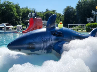 Foto: Beate Vogel  (Bild vergr&ouml;&szlig;ern)