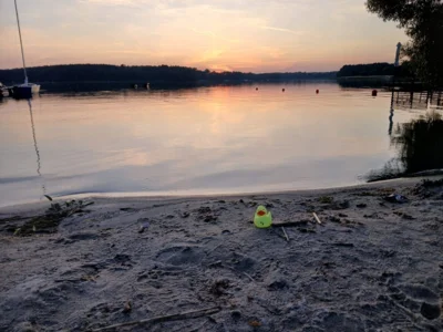 Foto: Silvana Schmidt  (Bild vergr&ouml;&szlig;ern)