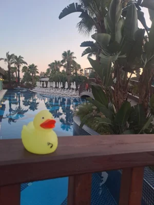 Foto: Antje K&ouml;pke  (Bild vergr&ouml;&szlig;ern)