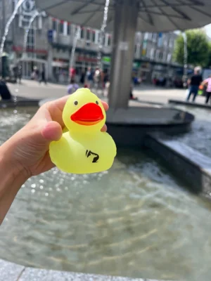 Foto: Sandra Bels  (Bild vergr&ouml;&szlig;ern)