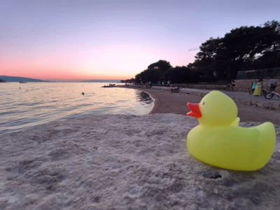 Foto: Anni Huse  (Bild vergr&ouml;&szlig;ern)