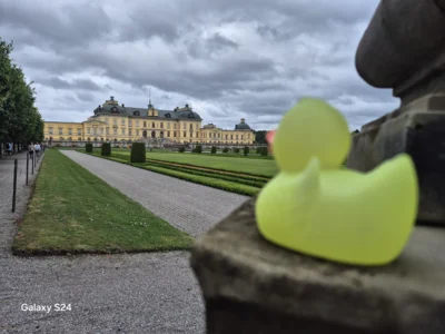 Foto: Punke-Brandt  (Bild vergr&ouml;&szlig;ern)