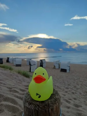 Foto: Stefanie He&szlig;  (Bild vergr&ouml;&szlig;ern)