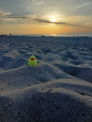 Foto: Stefanie He&szlig;  (Bild vergr&ouml;&szlig;ern)