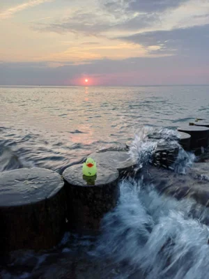 Foto: Stefanie He&szlig;  (Bild vergr&ouml;&szlig;ern)