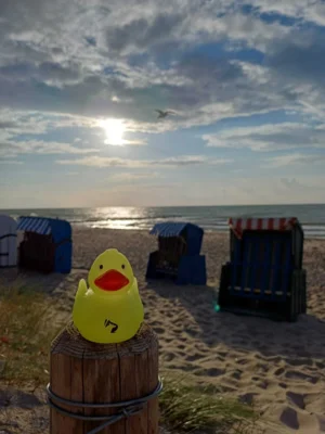 Foto: Stefanie He&szlig;  (Bild vergr&ouml;&szlig;ern)