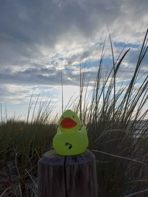 Foto: Stefanie He&szlig;  (Bild vergr&ouml;&szlig;ern)