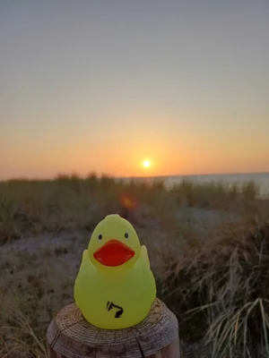 Foto: Stefanie He&szlig;  (Bild vergr&ouml;&szlig;ern)