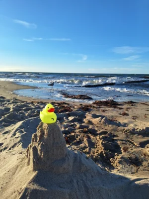 Foto: Lina und Jennifer Gerke  (Bild vergr&ouml;&szlig;ern)