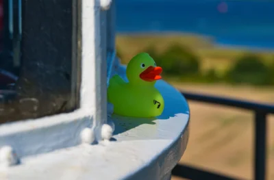 Foto: Marion und Arne Schumacher  (Bild vergr&ouml;&szlig;ern)