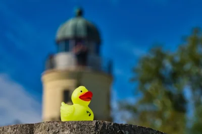 Foto: Marion und Arne Schumacher  (Bild vergr&ouml;&szlig;ern)