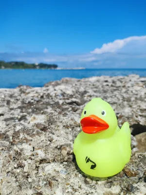 Foto: Amelie Preu&szlig;  (Bild vergr&ouml;&szlig;ern)