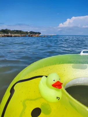 Foto: Arthur Preu&szlig;  (Bild vergr&ouml;&szlig;ern)