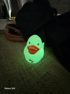 Foto: Punke-Brandt  (Bild vergr&ouml;&szlig;ern)