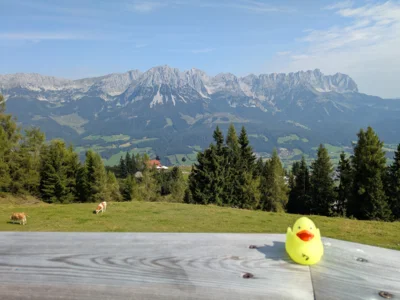 Foto: Lisa Schulz  (Bild vergr&ouml;&szlig;ern)