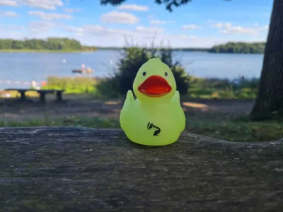 Foto: Nils P&auml;pke  (Bild vergr&ouml;&szlig;ern)